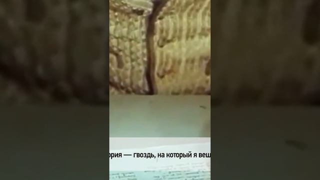 🗓 КАЛЕНДАРЬ | Александр Дюма #history #история #литература смотреть онлайн