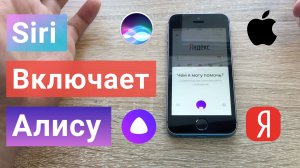 Яндекс Алиса как АКТИВИРОВАТЬ ГОЛОСОМ на айфон iOS на любом экране без рук через Siri