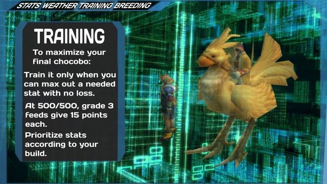 The Complete Beginner's Guide to FFXIV Chocobo Racing (5.55 2021) смотреть онлайн