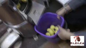 Картофелечистка Торгмаш МОК-300У