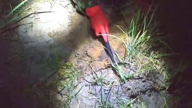 КЛАД В ДВУХ ГОРШКАХ И СУНДУКЕ! МНОГО ЗОЛОТА И БРИЛЛИАНТОВ! НАШЛИ ТАЙНИК ЛЕСНЫХ СОКРОВИЩ! смотреть онлайн