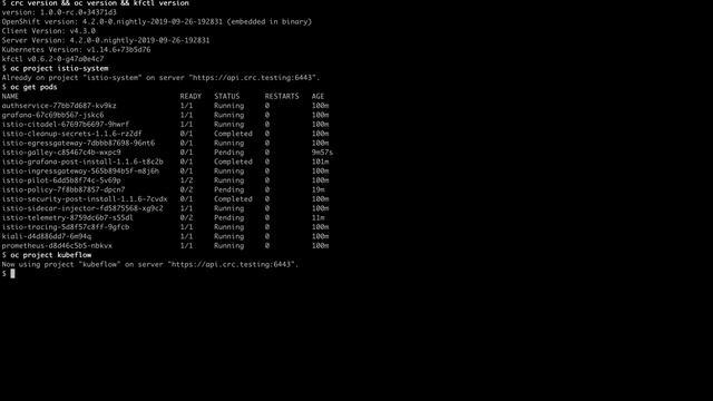 15 - CodeReady Containers - OpenShift 4.2 - Istio, Kubeflow смотреть онлайн