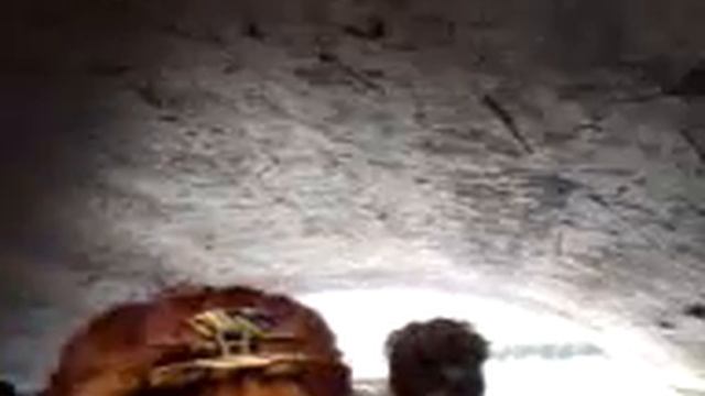 Река Мойка смотреть онлайн