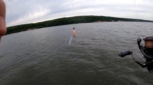 Где искать судака летом? Лучшие приманки и проводки. Постановка на точку