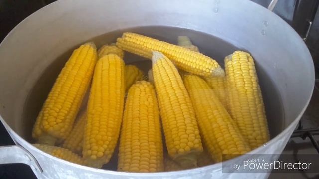 КАК СВАРИТЬ КУКУРУЗУ!!! ЛЕГКОТНЯ!!!