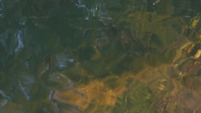 Йога Нидра глубокое расслабление смотреть онлайн