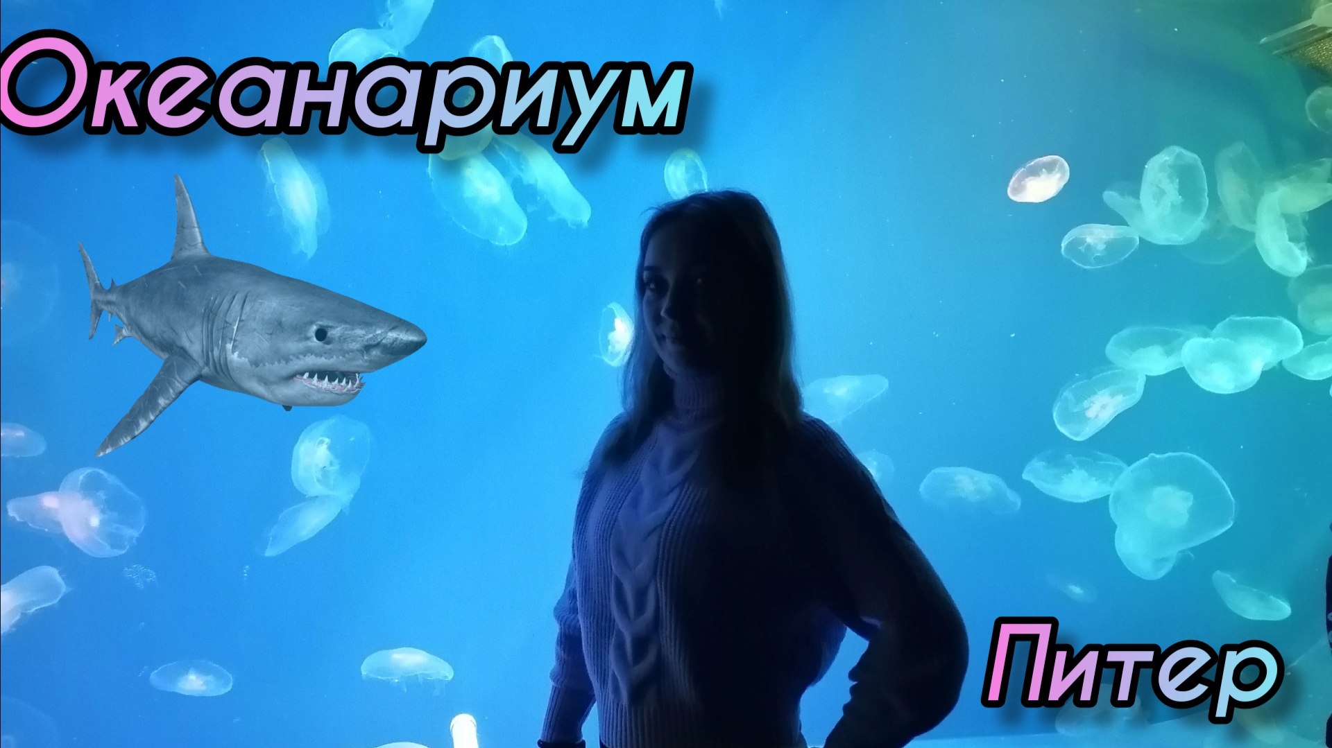 Океанариум в Санкт-Петербурге / Влог из Питера смотреть онлайн