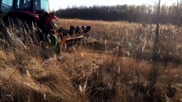 Лучший мульчер для тракторов 40-100 лс. Serrat FX-3. Kioti DK 903. Удаление дерева диаметром 15 см. смотреть онлайн