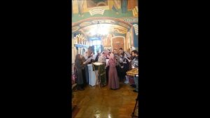 Задостойник Недели Ваий