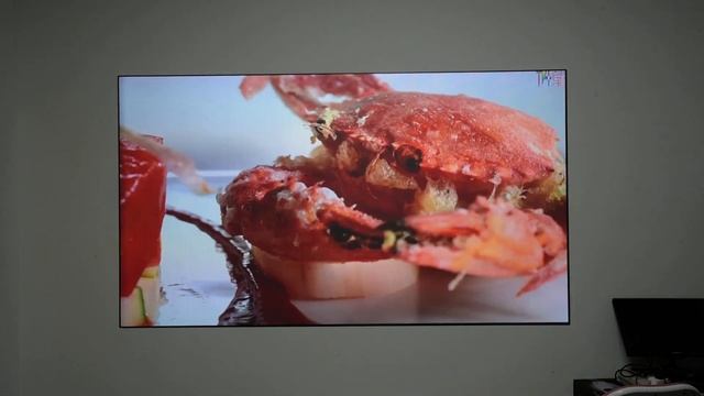 Alincoo Art-100 ALR Rollable Fresnel Projection Screen