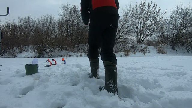 ЛОВИМ ЩУКУ НА ЖЕРЛИЦЫ НА РЕКЕ!САРАТОВСКАЯ ОБЛАСТЬ! смотреть онлайн