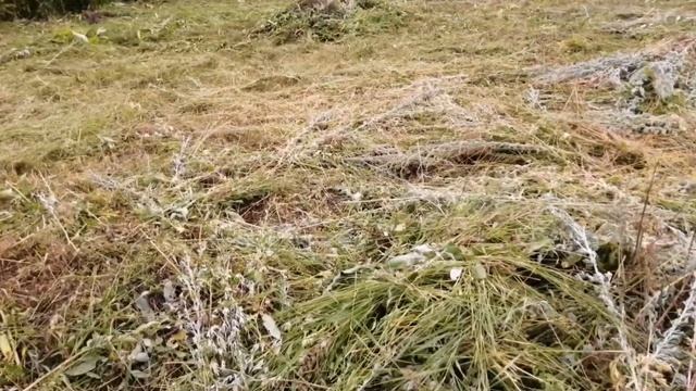 Покос и уборка. Безенчук. смотреть онлайн
