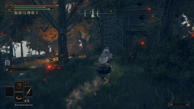 ELDEN RING БЕСКОНЕЧНОЕ ЗЕЛЬЕ ПРИЗЫВАЮЩЕГО ПАЛЬЦА смотреть онлайн