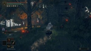 ELDEN RING БЕСКОНЕЧНОЕ ЗЕЛЬЕ ПРИЗЫВАЮЩЕГО ПАЛЬЦА