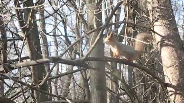 А орешки непростые смотреть онлайн