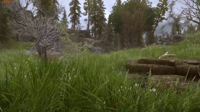 Skyrim 2021 No Grass in objects + DynDOLOD 3 = Infinite grass with playable FPS смотреть онлайн