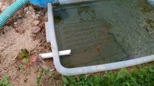 Барабанный фильтр в пруду результат отзыв мнение