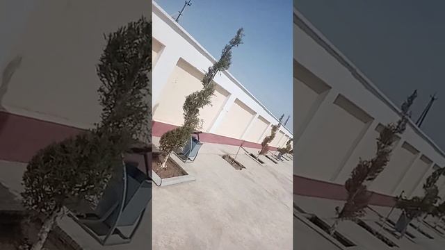 сурхондарйо да права момоси смотреть онлайн