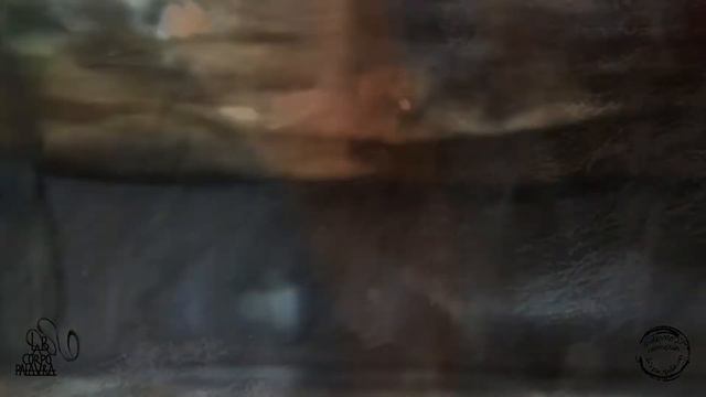 Aline Bernardi - Forças Intermoleculares смотреть онлайн