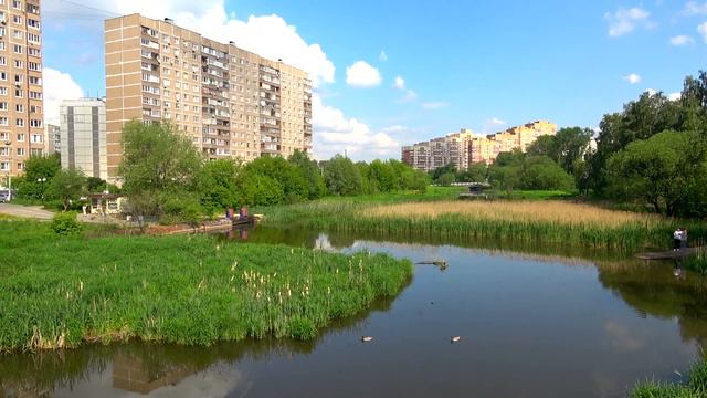 Красивая природа -5 Мытищи Яуза Beautiful nature animals प्रकृति 自然 性質 자연 alam طبيعة ziminvideo смотреть онлайн