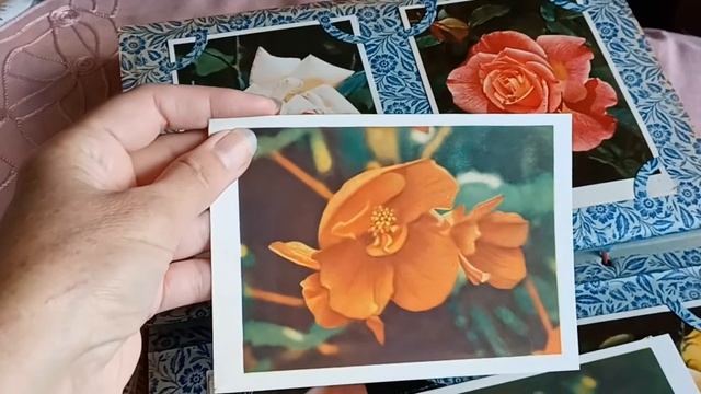 Волшебство старого альбома.#открытки #cards#старыеоткрытки#открыткиссср# смотреть онлайн