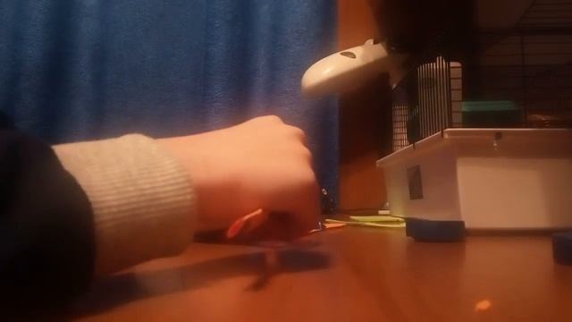 Как сделать кормушку для хомячков смотреть онлайн
