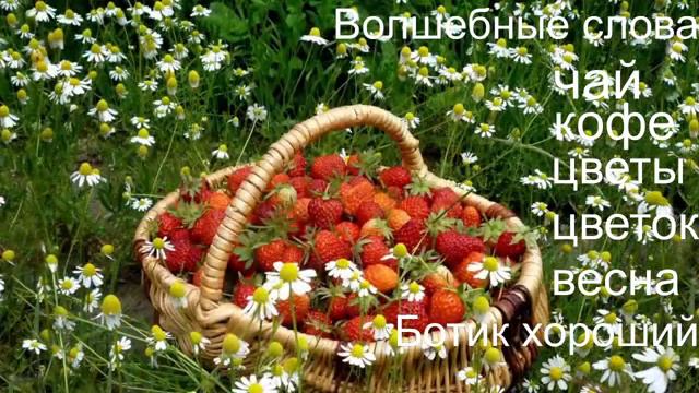 Говорит и показывает Мамочка 3Д/Загляните на огонек/Работает ботик