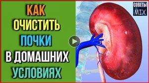 КАК ОЧИСТИТЬ ПОЧКИ В ДОМАШНИХ УСЛОВИЯХ.mp4