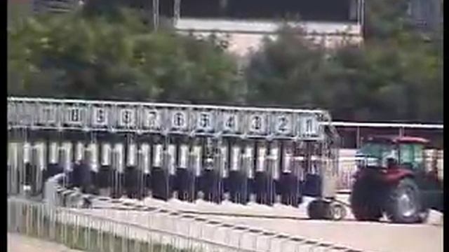 07.08.11.Дерби на лош. ахалт. пор.-Жемчуг. смотреть онлайн