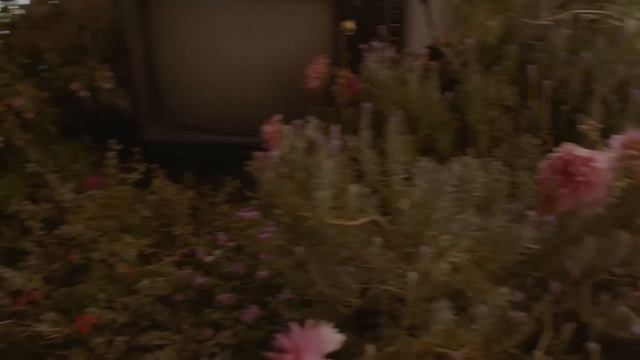 Gucci Bloom: The Campaign Film смотреть онлайн