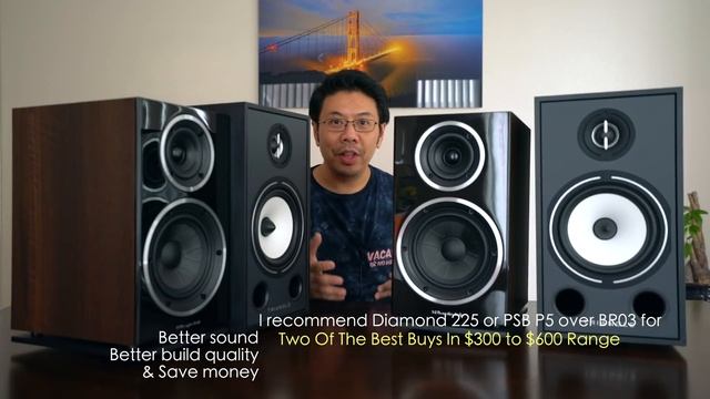 What’s Better Buy? Triangle Borea BR03 or Wharfedale Diamond 225 смотреть онлайн