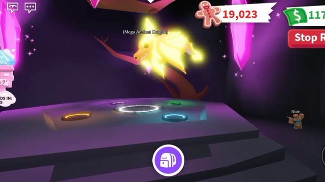 MEGA ANCIENT DRAGON (Legendary) - Fly Ride & Tricks Adopt Me смотреть онлайн