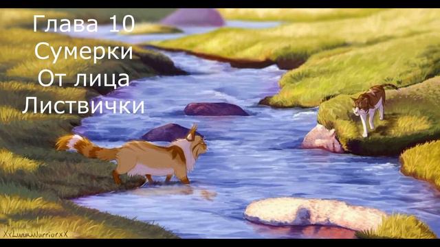 КОТЫ ВОИТЕЛИ/ Сумерки. 9-10 главы. Озвучка книги. смотреть онлайн