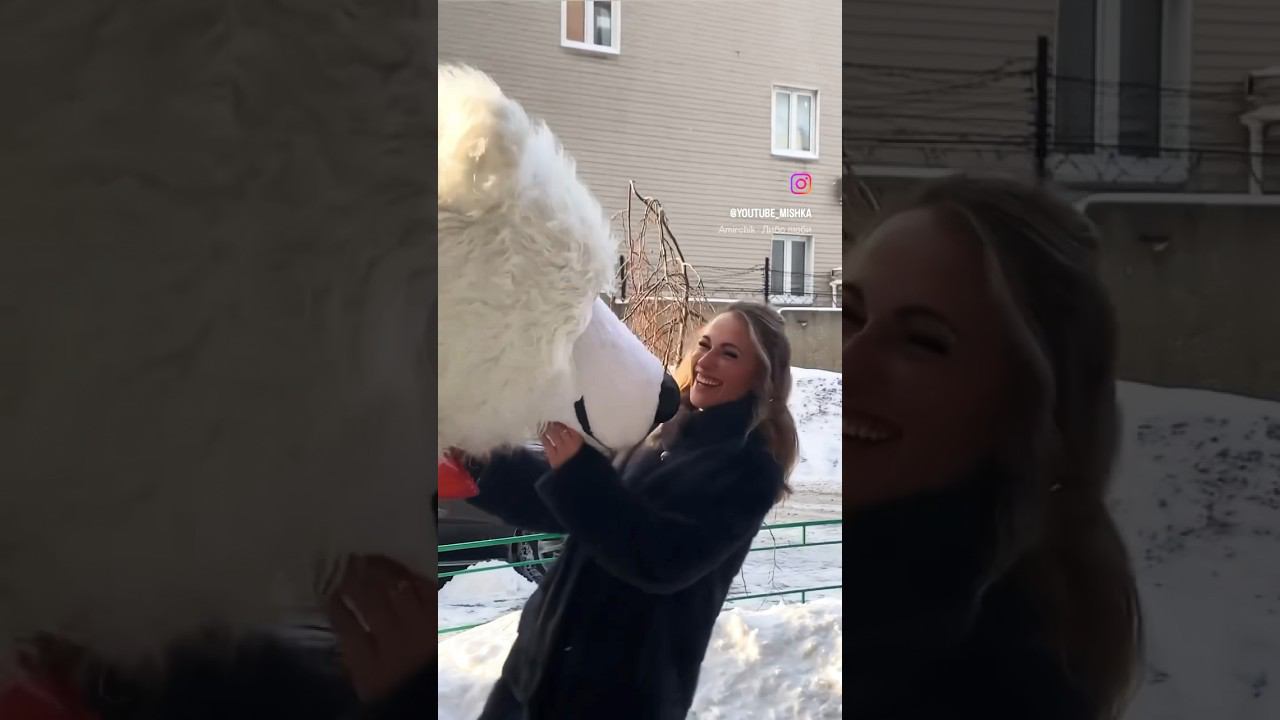 ЛИБО ЛЮБИ #радость #песня #смех смотреть онлайн