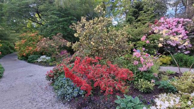 Stanley Park Vancouver Rhododendron Garden смотреть онлайн
