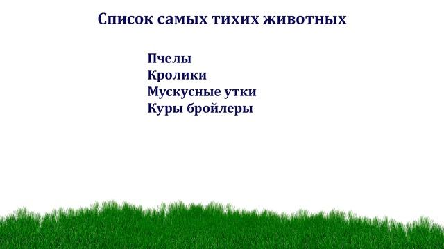 Каких сельскохозяйственных животных разводить именно Вам смотреть онлайн