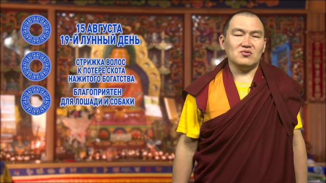 Отличный день для инвестиций смотреть онлайн