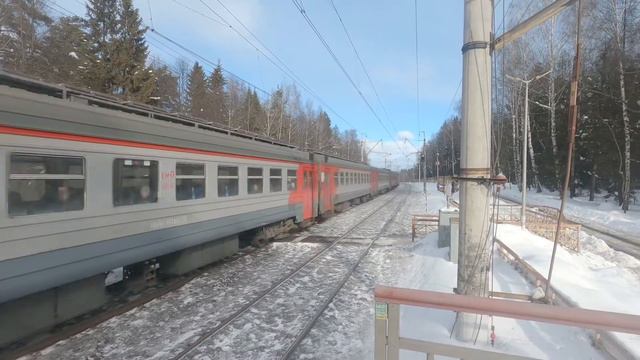 Электропоезд ЭД4М-0163/0266 платформа Зеленоградская смотреть онлайн