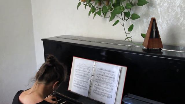 Алькан. Песня сумасшедшей на берегу моря. смотреть онлайн
