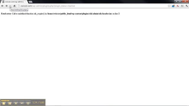 Video Recover from a WordPress Fatal error using your website's control panel (cPanel) смотреть онлайн