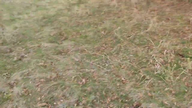 ПРИЕХАЛ НА РЫБАЛКУ ВЛОГ смотреть онлайн