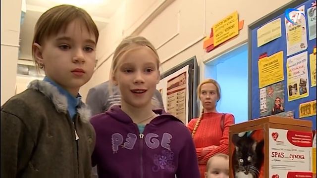 В Великом Новгороде отметили День защиты черных котов смотреть онлайн
