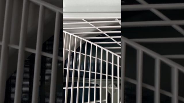 Кондиционер Haier шум работы 1U35PHP1FRA, видео 2 смотреть онлайн
