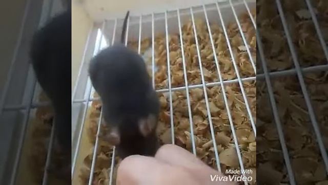 Делай Сам для Души