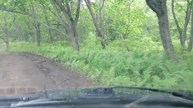 мыс голый бухта круглая. смотреть онлайн