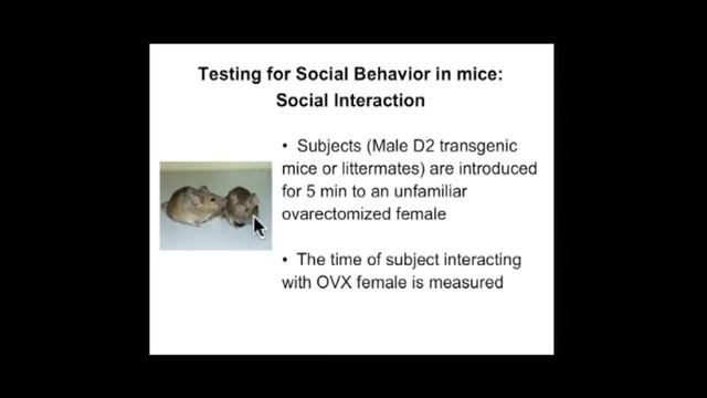 (HD) Eric Kandel (Nobelprize 2000) Lecture, Molecular genetic and cognitive studies in schizophreni смотреть онлайн