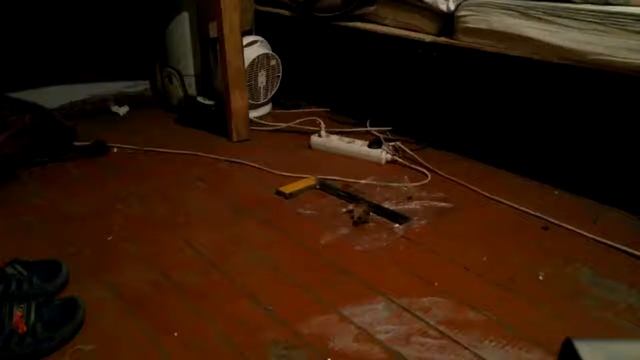 Как поймать мышь дома смотреть онлайн