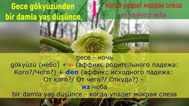 Турецкий по песням _ #34 Badem - Sen ağlama _ 276 день смотреть онлайн