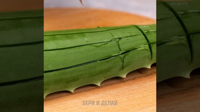 ВОЛШЕБНЫЕ ПРЕИМУЩЕСТВА АЛОЭ ВЕРА || ПОЛЕЗНЫЕ ЛАЙФХАКИ С АЛОЭ ВЕРА смотреть онлайн