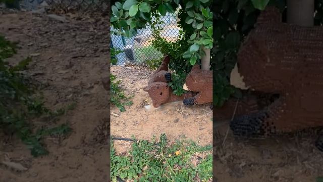 Леголенд В Дубае
Legoland Dubai смотреть онлайн